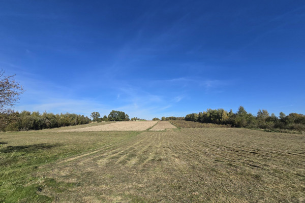 kielecki, Bodzentyn, Wiącka, Dwie osobne działki po 3300m2 Wiącka